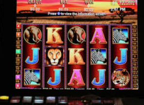 雷火电竞下载正式版